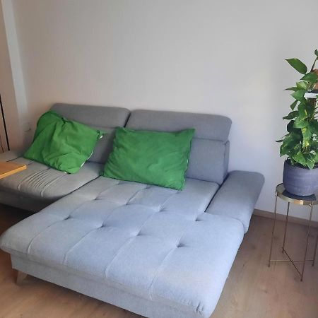 Schone Wohnung In Der Grazer Innenstadt Eksteriør billede