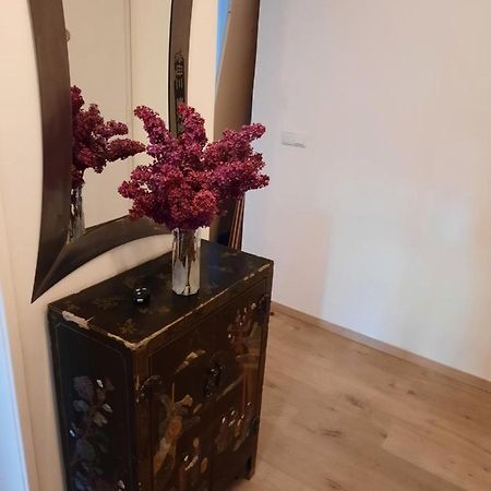 Schone Wohnung In Der Grazer Innenstadt Eksteriør billede