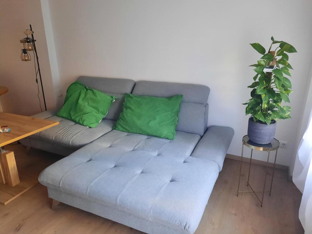 Schone Wohnung In Der Grazer Innenstadt Eksteriør billede