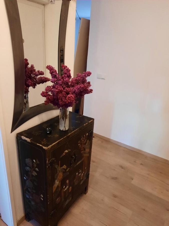 Schone Wohnung In Der Grazer Innenstadt Eksteriør billede